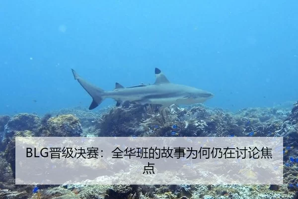 BLG晋级决赛：全华班的故事为何仍在讨论焦点